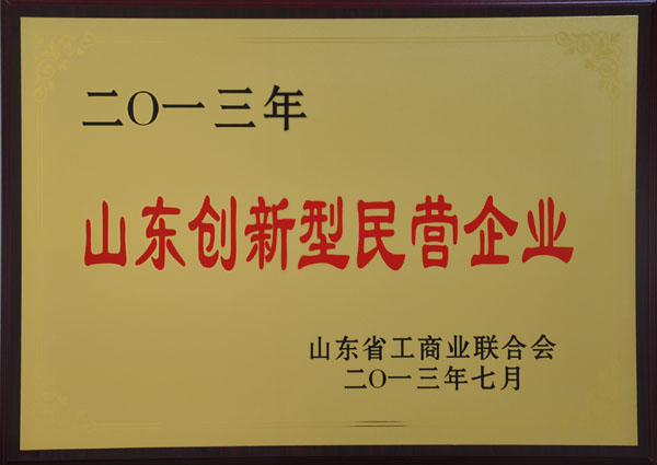 山東創(chuàng)新型民營企業(yè)